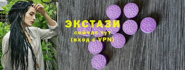 СК Богородск