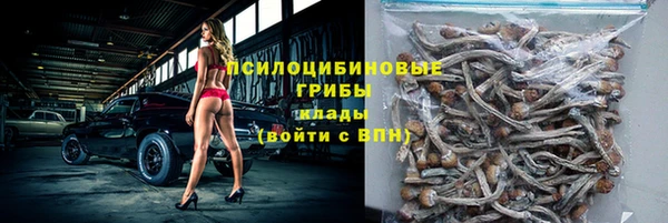 стафф Бородино