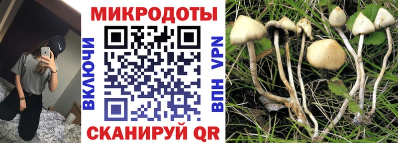купить  сайты  Сургут  Галлюциногенные грибы прущие грибы 
